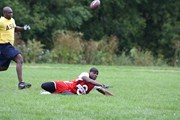 OTFL Gallery Image